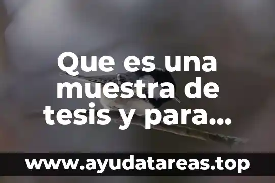 Que es una muestra de tesis y para que sirve