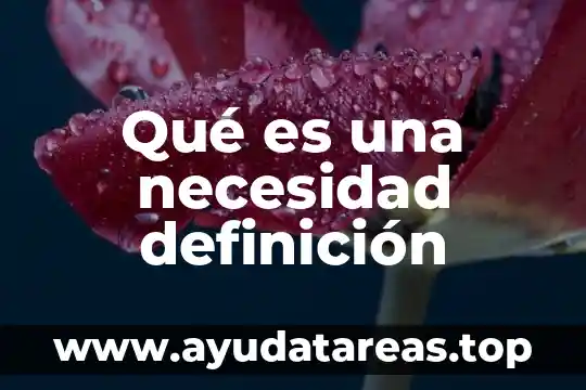 Qué es una necesidad definición