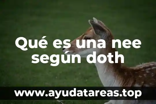 Qué es una nee según doth