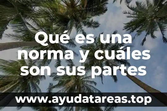 Qué es una norma y cuáles son sus partes