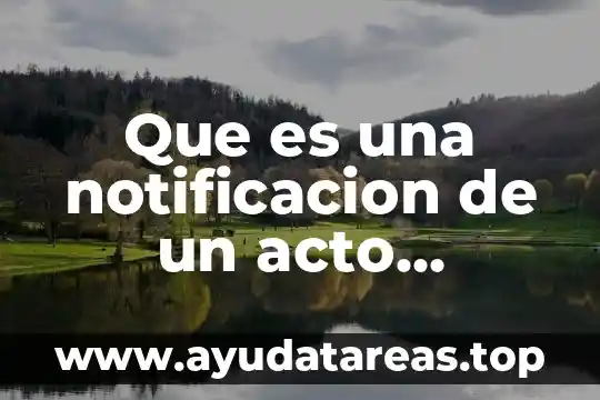 Que es principio de lesividad en el derecho administrativo 5 Que es una notificacion de un acto administrativo