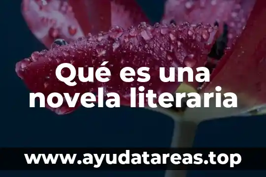 Qué es una novela literaria