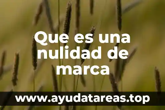 El apellido de marca que es 5 Que es una nulidad de marca