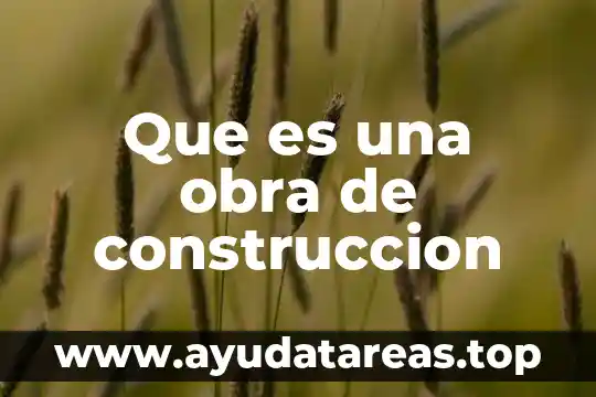 Ambiguedad fonética que es 5 Que es una obra de construccion