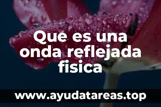 Que es una onda reflejada fisica