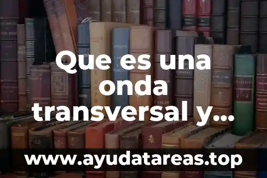 Que es una onda transversal y sus partes