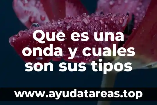 Instructivo que es y cuáles son sus partes 5 Que es una onda y cuales son sus tipos