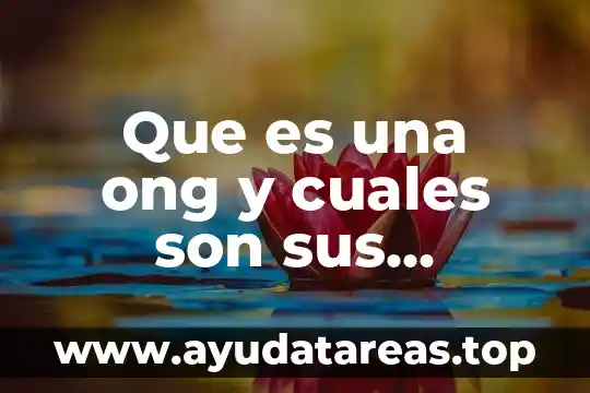 Que es un dominio de internet tipos y caracteristicas 3 Que es una ong y cuales son sus caracteristicas