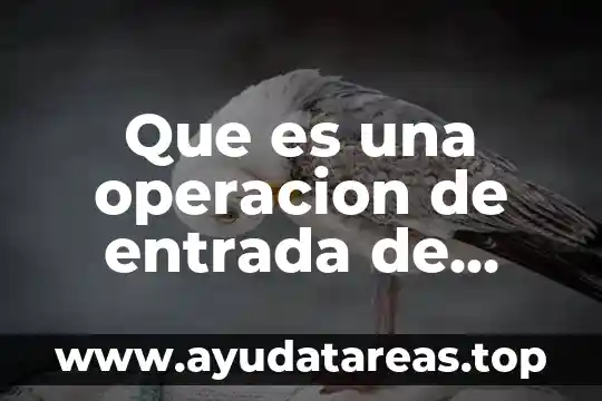 Que es sistema de operacion 3 Que es una operacion de entrada de datos