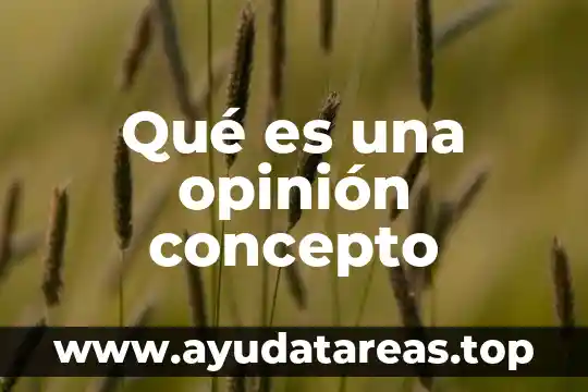 Que es un articulo de opinion cientifica 7 Qué es una opinión concepto