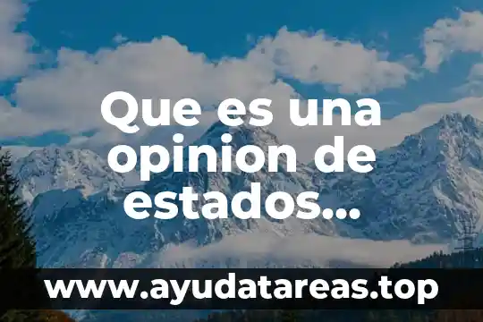 Que es estados unidos estados 3 Que es una opinion de estados financieros mexico