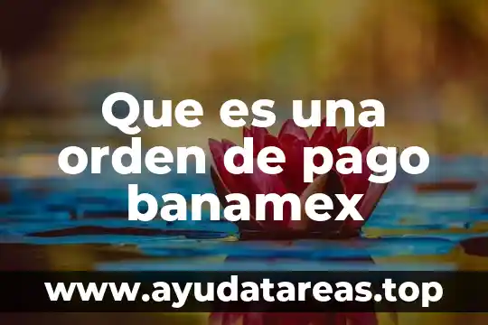 Qué es número de orden 8 Que es una orden de pago banamex