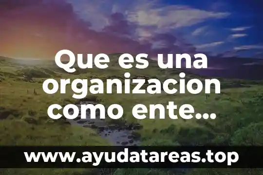 Que es una organizacion como ente social