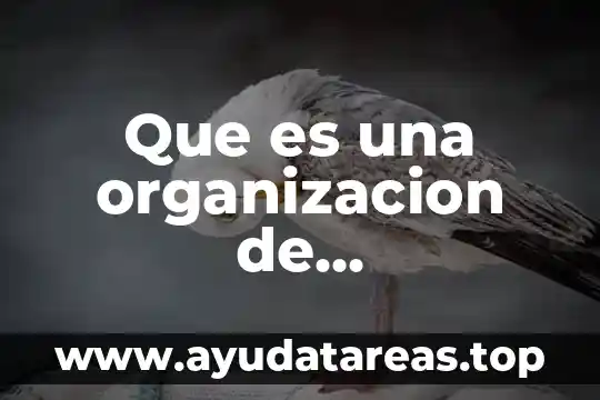 Que es una organizacion de beneficiencia