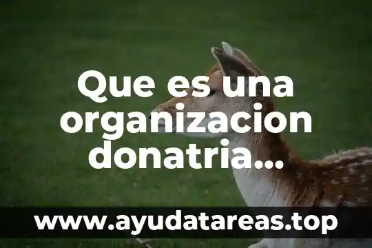 Que es una organizacion donatria autorizada