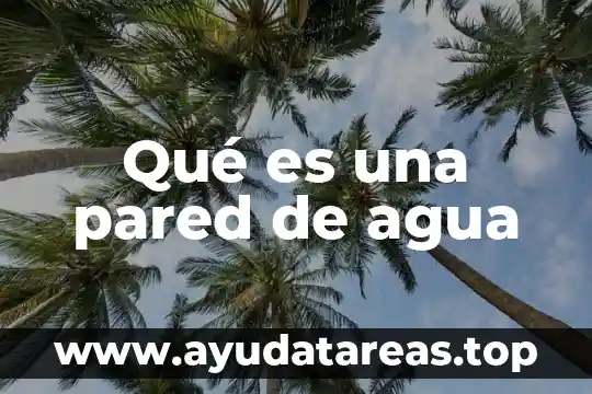 Que es la l.r.c.t 8 Qué es una pared de agua