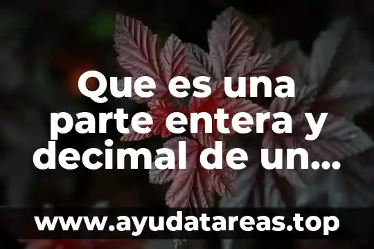 Qué es el número de Reynolds 4 Que es una parte entera y decimal de un numero