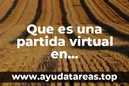 Que es una partida virtual en contabilidad