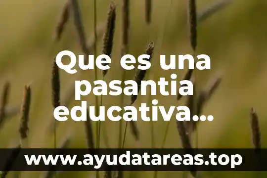 Que es la evaluacion educativa y los tipos de evaluacion 5 Que es una pasantia educativa colombia