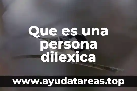 Qué es el principio pro persona principio por persona 4 Que es una persona dilexica