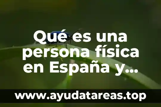 Qué es ley cero de la termodinámica en física 5 Qué es una persona física en España y jurídica
