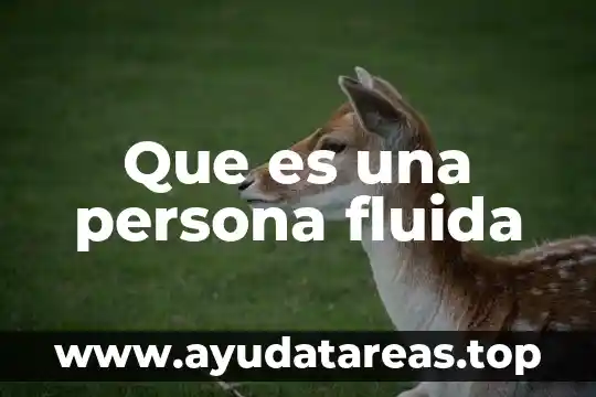 Que es una persona fluida
