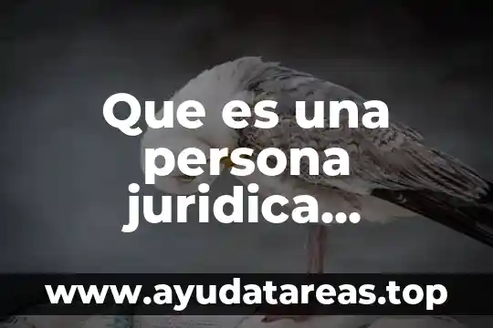 Que es concepto de estereotipo 7 Que es una persona juridica concepto