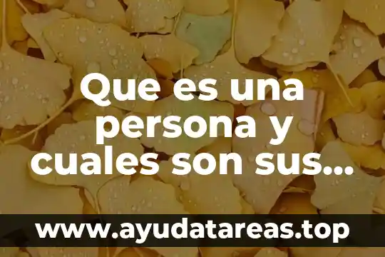 Que es una persona y cuales son sus dimensiones