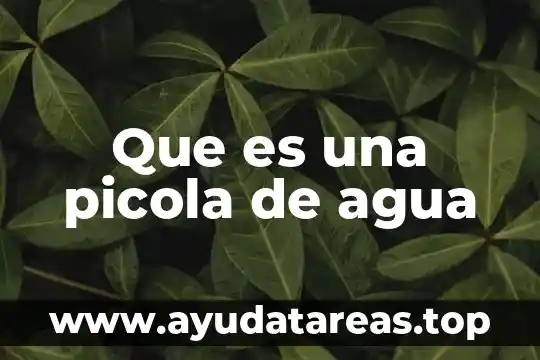 Aguilucho que es 7 Que es una picola de agua