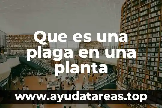 Que es una distribución de planta ingenieria industrial 7 Que es una plaga en una planta