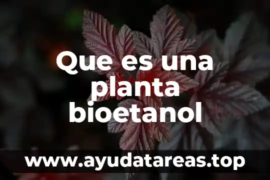Que es la percepcion objetiva 6 Que es una planta bioetanol