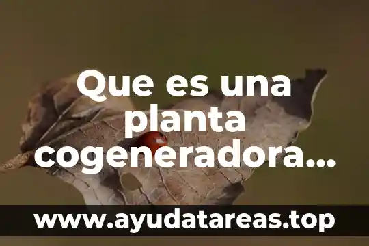 Que es una planta forrajera 5 Que es una planta cogeneradora de energia