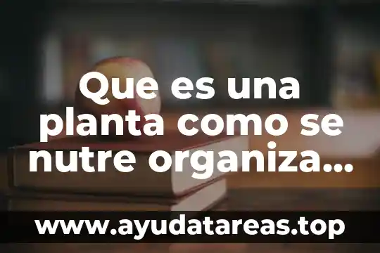 Que es lo que necesita una planta medicinal para crecer 8 Que es una planta como se nutre organiza y produce