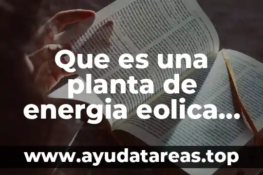 Que es la energia eolica y su funcionamiento 4 Que es una planta de energia eolica hidroelectrica