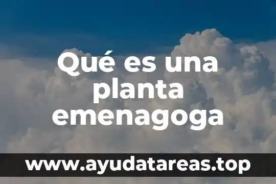 Qué es una planta de emergencia portátil 7 Qué es una planta emenagoga