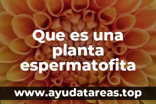Para que es importante regalar una planta a un niño 6 Que es una planta espermatofita