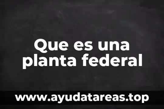 Que es una planta forrajera 4 Que es una planta federal