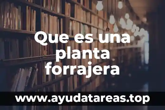 Que es una planta federal 3 Que es una planta forrajera
