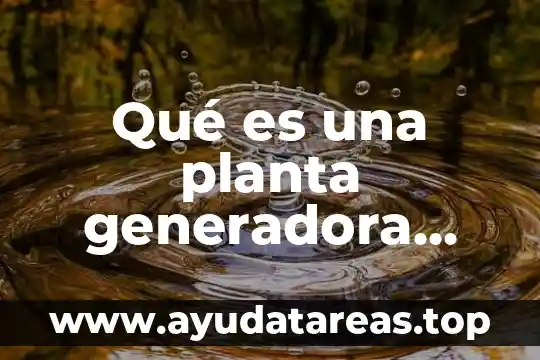 Que es una planta libre en la arquitectura 6 Qué es una planta generadora hidroeléctrica
