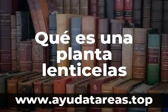 Que es evaluacion en dibujos animados 6 Qué es una planta lenticelas