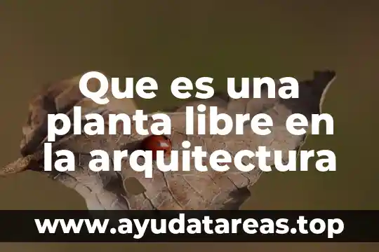 Que es la planta citronela 8 Que es una planta libre en la arquitectura