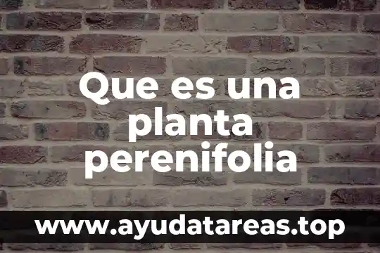 Prl css en planta que es 3 Que es una planta perenifolia