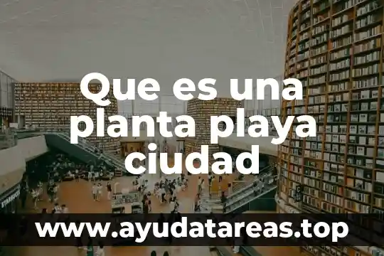 Que es el dimensionamiento de planta 5 Que es una planta playa ciudad