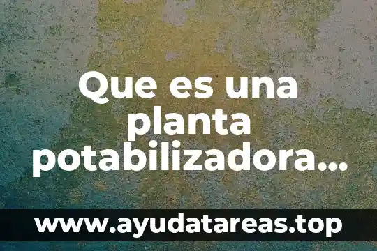 Planta cultivada que es 5 Que es una planta potabilizadora de agua