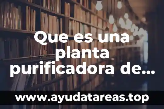 Hierbabuena planta medicinal que es 3 Que es una planta purificadora de agua conagua