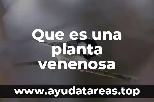 Que es una planta en conjunto 5 Que es una planta venenosa