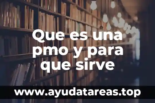 Auditoria de recursos humanos que es y para que sirve 5 Que es una pmo y para que sirve