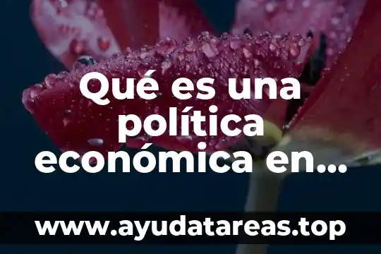 Que es el manual de política general 8 Qué es una política económica en México