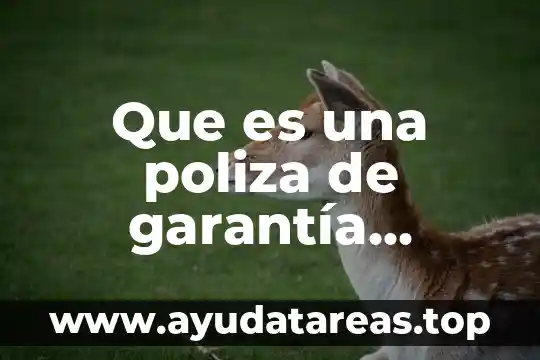 Que es una poliza de garantía comercial