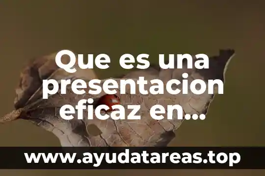 Que es una presentacion eficaz en informatica